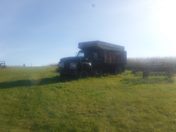 this old FORD - Yesterday's Tractors