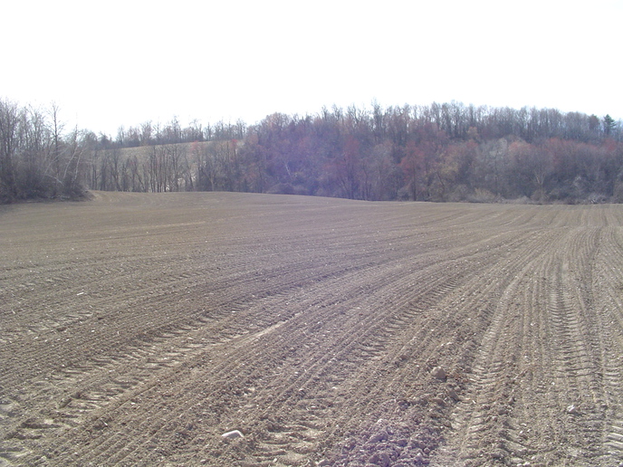 McCormick - Deering Grain Drill Identification | Yesterday's Tractors ...