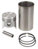 Ford 971 Sleeve and Piston Kit, 172 Gas, STD